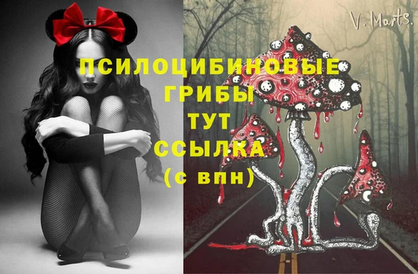 кокаин Богородицк