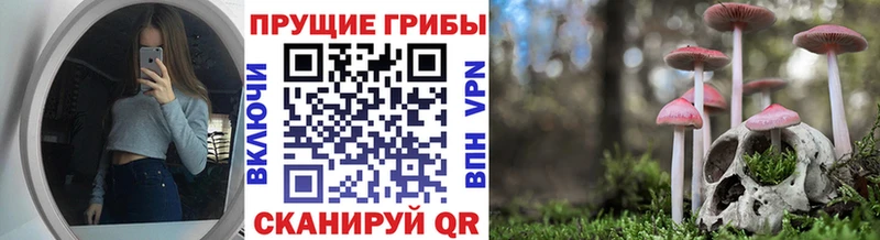Галлюциногенные грибы мицелий  Купить  Таруса 